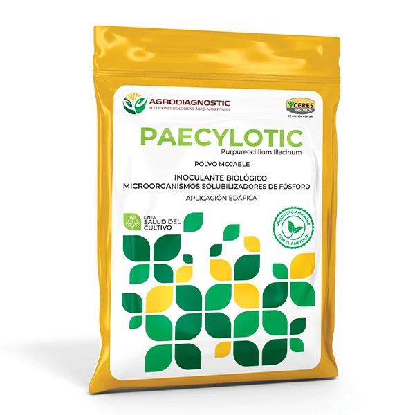 PAECYLOTIC - 100 GR