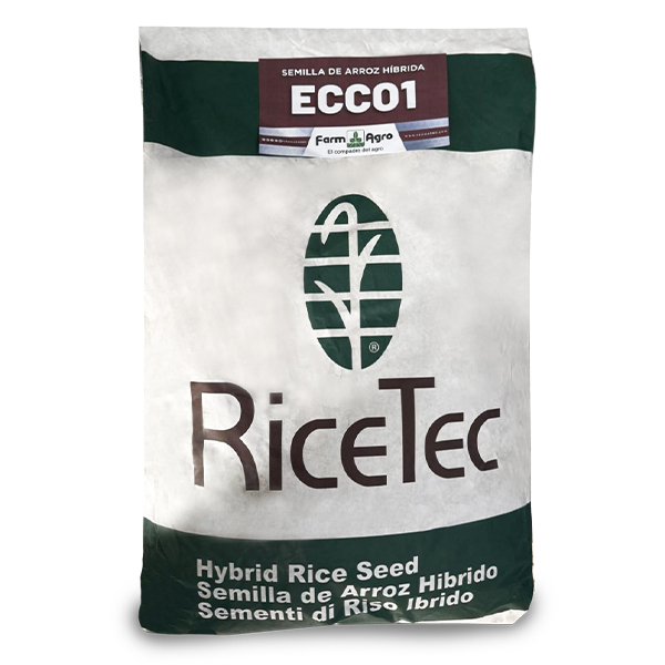 SEMILLA DE ARROZ - ECCO1 - 20 KGS