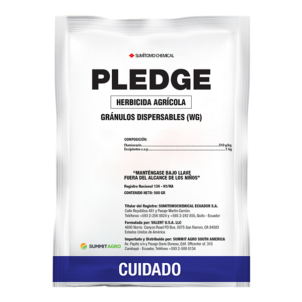PLEDGE - 500 GR