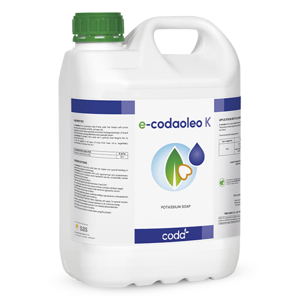 E-CODAOLEO K
